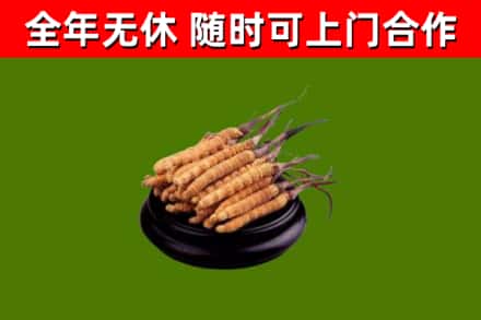 七台河市烟酒回收冬虫夏草.jpg